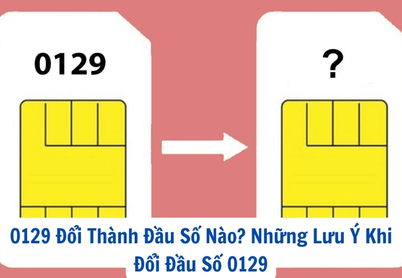 0129 Đổi Thành Đầu Số Nào? Những Lưu Ý Khi Đổi Đầu Số 0129
